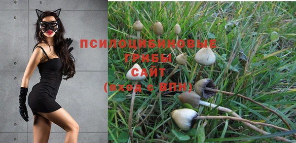 амфетамин Богданович