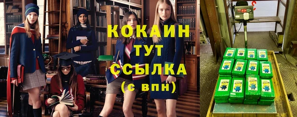 дмт Богородицк
