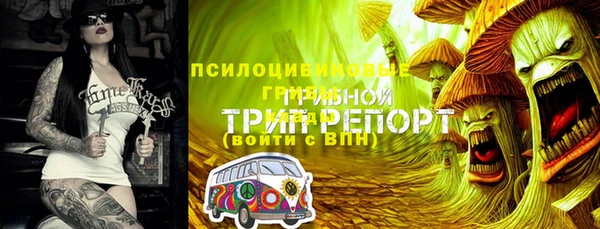 мет Бугульма