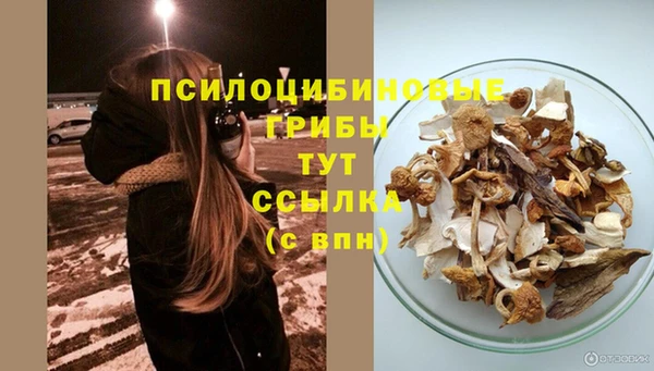 мяу мяу кристалл Билибино