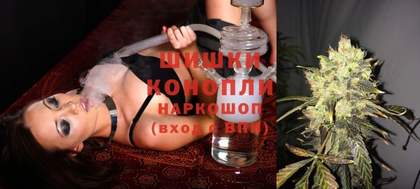 дмт Богородицк